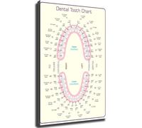 LLBOGRGGN Canvas Wall-Art - Tooth Chart Posters for Room Aesthetics - Decoration for Clinic, Office, or Educational Use(Unframed,08x12inch(20x30cm))