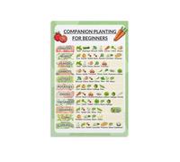LLBOGRGGN Companion Planting Guide for Gardeners - Vegetable & Herb Pairing Chart Poster, Essential Reference for Beginner and Expert Home Growers(Unframed,12x18inch(30x45cm))