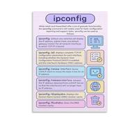 LLBOGRGGN Computer Networking Poster Ipconfig Command Guide Network Configuration Troubleshooting TCPIP Reference Canvas Painting for Decor(Unframed,16x24inch(40x60cm))