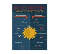 LLBOGRGGN Heat Awareness Poster Summer Guide to Preventing Stroke and Exhaustion at Home (Unframed,08x12inch(20x30cm))