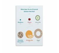 LLBOGRGGN Modern Labor Stages Poster Cervical Dilation Childbirth Education Wall-Art for Parents Nursery Midwife Gift Idea (Framed,08x12inch(20x30cm))
