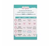 LLBOGRGGN Pediatric Assessment Educational Tool - Vital Signs Ranges by Age, Reference for Students, Nurses, Faculty (Unframed,16x24inch(40x60cm))