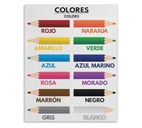 LLBOGRGGN Spanish English Color Poster Bilingual Learning Chart for Metal Tin Sign Educational Wall-Art Preschool(Unframed,08x12inch(20x30cm))