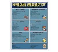 LLBOGRGGN Survival Checklist Poster Hurricane Emergency Go Bag Disaster Preparedness Guide for Flood Wildfire Canvas Wall-Art for Home Classroom Camping(Unframed,12x18inch(30x45cm))