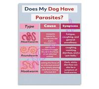 LLBOGRGGN Veterinary Parasites Chart Common Dog and Cat Educational Poster for Animal Hospital Clinic and Pet Owners(Unframed,12x18inch(30x45cm))