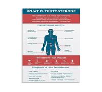 LLBOGRGGN What Is Testosterone Science Wall-Art Canvas Painting Informative Poster for Bedroom Living Room Home Office Mens Health(Framed,16x24inch(40x60cm))