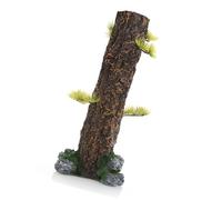 LLHCF Aquariophilie Paysage souche modèle Aquariums Décorations Art Terrarium Habitat Ornements Décorations pour aquariums