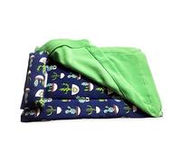 LLHCF Lit motif dragon barbu avec oreiller et couverture confortable et chaud avec housse en peluche pour dragon barbu
