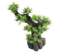 LLHCF Ornements pour aquariums - Accessoire pour aquariums d'eau douce et d'eau salée
