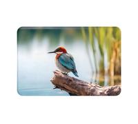 LLKGOT Tapis de sol antidérapant motif oiseau lagon pour intérieur et extérieur, convient pour les entrées de chambre à coucher et de salle de bain, 40,6 x 61 cm