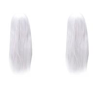 LLKOZN Lot de 2 perruques de cheveux raides Anime Cosplay - Costume long et lisse - Blanc