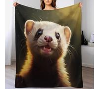 LLLBBB Vison Chaudes Couverture en Polaire Flannel Légères Couvertures Toutes Saisons pour Voyager, Lit Ou Canapé 180×200cm