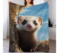 LLLBBB Vison Chaudes Couverture en Polaire Flannel Légères Couvertures Toutes Saisons pour Voyager, Lit Ou Canapé 130×180cm