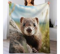 LLLBBB Vison Chaudes Couverture en Polaire Flannel Légères Couvertures Toutes Saisons pour Voyager, Lit Ou Canapé 140×180cm