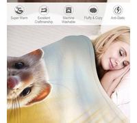 LLLBBB Vison Couverture Flannel Douce Et Chaude, Entretien Facile À La Machine, pour Voyager, Lit Ou Canapé 100×130cm