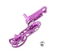 LLLmhuaa Tendeur de chaîne de vélo de montagne à vitesse unique - Double guide de ressort - Dérailleur durable - Double chaîne à ressort