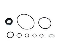LLNOM Power Steering Pump Repair Kit Seal O-Ring Gasket Set Compatible for HONDA CIVIC FA1 1.8L 2006 2011 Left Hand Drive pompes hydrauliques