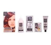 Llongueras Set Color Advance 624-Macadamia Brown (en anglais)