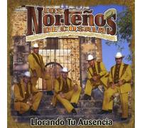 Llorando Tu Ausencia