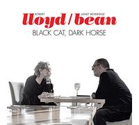 Lloyd - Black Cat, Dark Horse