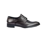 Lloyd Opal Gris