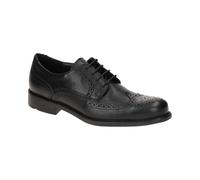 Lloyd Tampico Noir