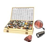 LLOZoo Coffret de géologie éducatif (24/30/42/49/56/100 pièces), kit de collection de roches et de minéraux, boîte en bois : anti-poussière et anti-vandalisme,100pcs