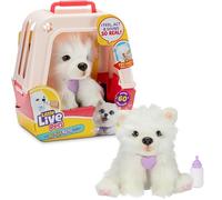 LLP Little Live Pets My Really Real Puppy Luna la samoyède | Peluche Interactive. 60 Sons et réactions. Fourrure Douce, Pattes lestées, Yeux Mobiles. 12 Versions Caisse Deluxe avec Piles 5 Ans et +
