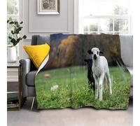 LLSZAHD Couverture Mouton Noir et Blanc - Plantes Flanelle Couvertures Douce Moelleuse Literie de Canapé-lit de Chambre Convient Camping de Voyage Couverture Maison Moderne 220x240cm