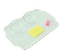 LLTCMAOYI Montessori Jeu de jouets d'absorption d'eau avec compte-gouttes, jouet d'entraînement de base