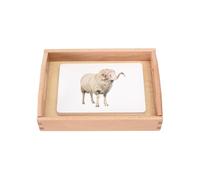 LLTCMYGS Aide à l'enseignement des Langues de Classification Cognitive des Animaux, matériaux de prévisualisation des Cartes d'animaux Montessori