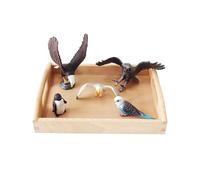 LLTCMYGS Ensemble de modèle de Simulation d'oiseaux et d'animaux Montessori, Ornements et Petites Statues reproduisant des Oiseaux et des Animaux