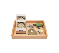 LLTCMYGS Ensemble de modèles de Croissance de la Tortue Montessori, Jouets en modèle Animal et Cartes Correspondant à la Langue