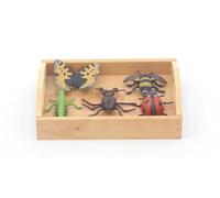 LLTCMYGS Ensemble de modèles d'insectes Montessori, matériel linguistique pour la Maternelle et Aides pédagogiques
