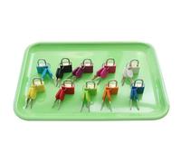 LLTCMYGS Ensemble de serrures et clés Montessori, 10 Cadenas d'apprentissage colorés avec clés Assorties,Plastic Trays
