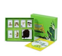 LLTCMYGS Ensemble de spécimens de résine de graines Montessori, Aide à l'enseignement Scientifique en Classe