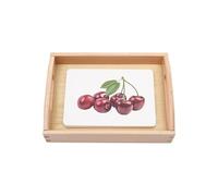 LLTCMYGS Set de langage des Fruits Montessori, matériel de Carte de Classification des Fruits pour l'enseignement des Langues