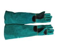 lluoqian Veterinarian Gants de manipulation d'animaux Anti-morsure robustes, gants en cuir épais for chiens, chats et reptiles(Green)
