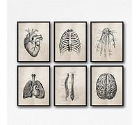 LLXHG Anatomie Humaine Science Vintage Posters Art Prints, Anatomie Médicale Toile Peinture Médecin Docteur Clinique Mur Photos Decor-30X40Cmx6 sans Cadre