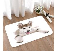 LMaFCaIGU Tapis de Porte Paillasson Interieur et Extérieur Antidérapant Absorbant, Adorable Chiot Malamute Husky allongé, isolé sur Une Maison d'animaux Beauté de la Faune Sauvage,40x60cm