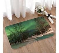 LMaFCaIGU Tapis de Porte Paillasson Interieur et Extérieur Antidérapant Absorbant,Aurore boréale d'un Vert éclatant Illuminant Une forêt de bouleaux enneigée la Nuit,40x60cm