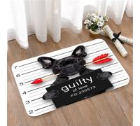LMaFCaIGU Tapis de Porte Paillasson Interieur et Extérieur Antidérapant Absorbant,Bouledogue avec Une Rose dans la Gueule, Photo d'identité judiciaire Coupable d'amour,40x60cm