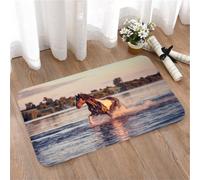 LMaFCaIGU Tapis de Porte Paillasson Interieur et Extérieur Antidérapant Absorbant,Chevaux au Galop dans Le lac Spirit Winds, emblème de liberté et de stabilité, Bleu-Brun,40x60cm
