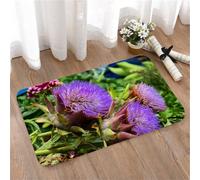 LMaFCaIGU Tapis de Porte Paillasson Interieur et Extérieur Antidérapant Absorbant,Photo d'artichaut de la Flore méditerranéenne avec Une Impression de récolte de Super-Aliment,40x60cm