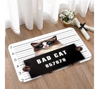 LMaFCaIGU Tapis de Porte Paillasson Interieur et Extérieur Antidérapant Absorbant,Portrait d'identité judiciaire de Bad Cat avec numéro de série,40x60cm