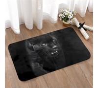 LMaFCaIGU Tapis de Porte Paillasson Interieur et Extérieur Antidérapant Absorbant,Portrait d'un léopard de l'amour en été,40x60cm