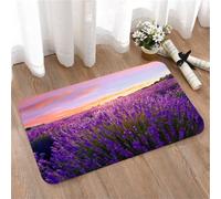 LMaFCaIGU Tapis de Porte Paillasson Interieur et Extérieur Antidérapant Absorbant,Prairie Rurale de Lavande en Pleine Floraison Estivale, Nature européenne Vivante et décorative,40x60cm
