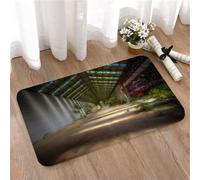 LMaFCaIGU Tapis de Porte Paillasson Interieur et Extérieur Antidérapant Absorbant,Serre intérieure Rustique et Industrielle pour l'agriculture et Les Plantes, Nature en Milieu Urbain,40x60cm