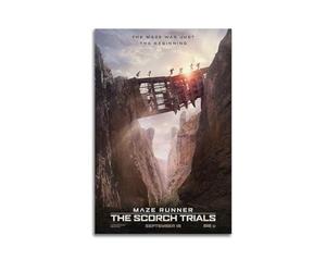 LMJUSNEFNC Poster décoratif sur toile de film Maze Runner Burn Trial - Impression d'art moderne pour chambre à coucher (20 x 30 cm)
