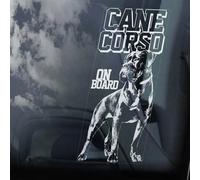 LMMIXEE Autocollant Cane Corso on Board - Autocollant pour fenêtre de voiture - Inscription « Beware of the Dog » - Mastiff italien - Autocollant en vinyle découpé - Cadeau amusant